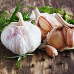 Garlic