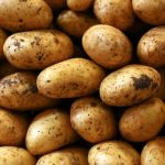 Potatoes
